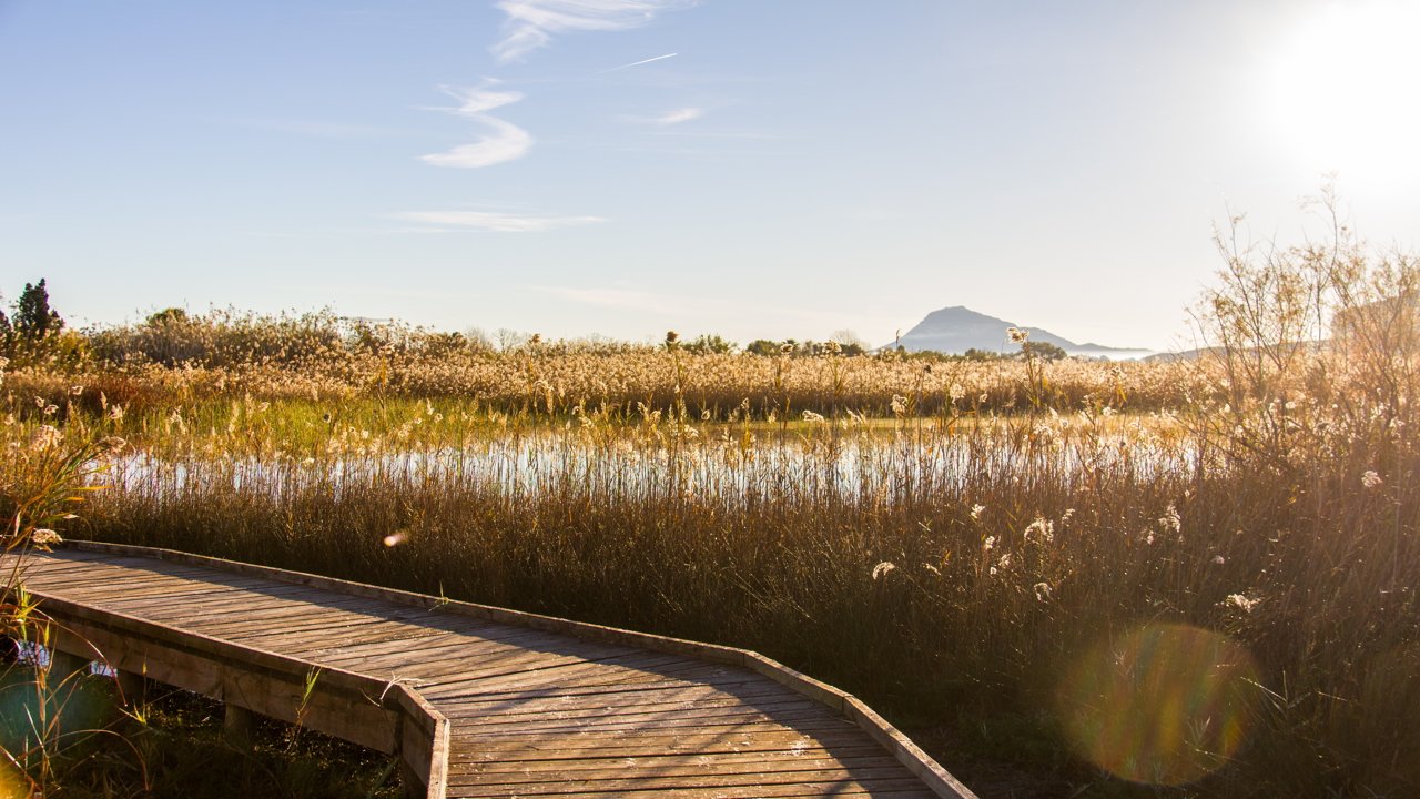Marshes of Peñíscola