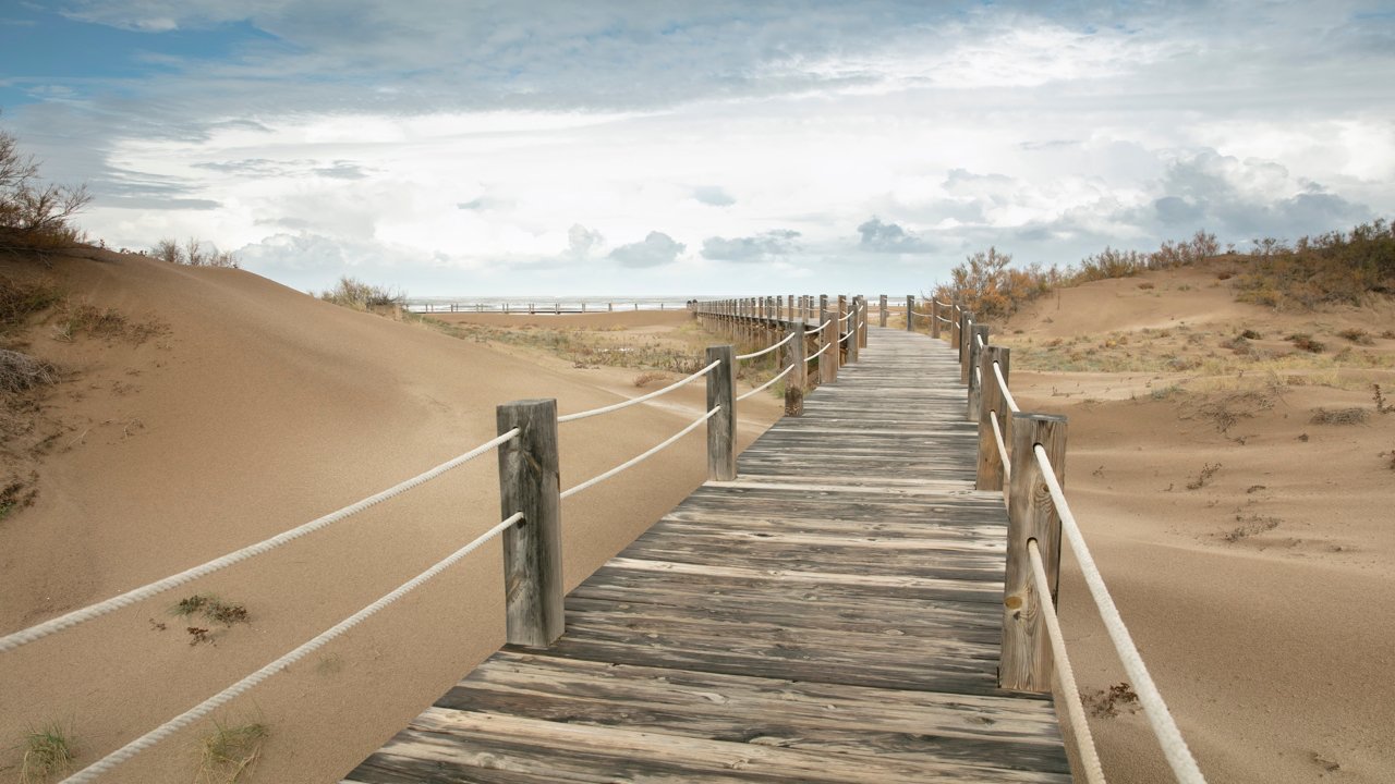 Blue Path Walkway