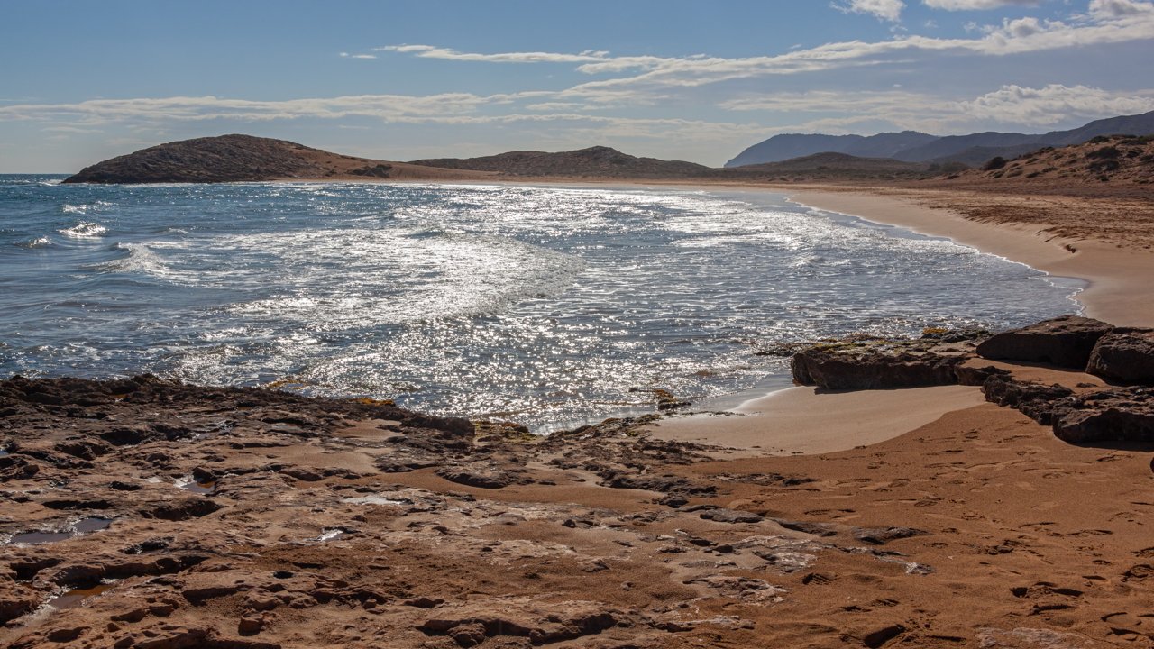 Shore of the regional park beach