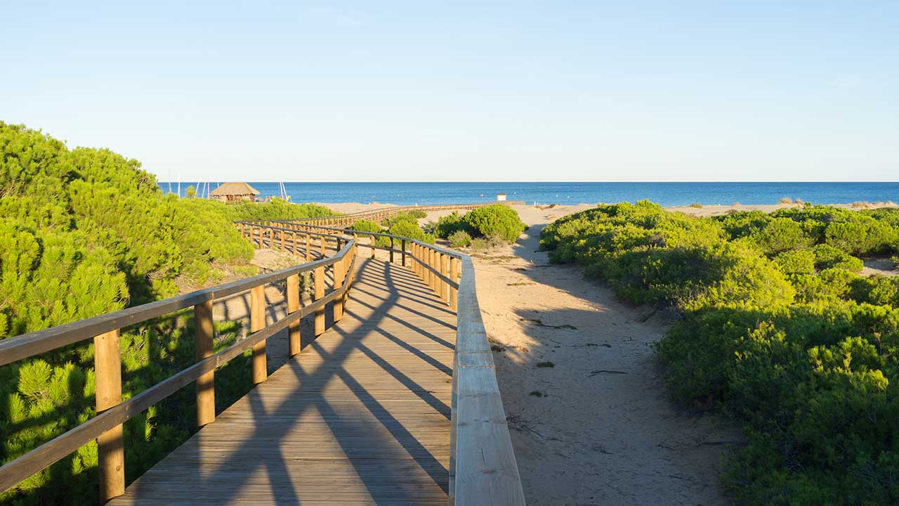 Dune beaches in the south of Alicante