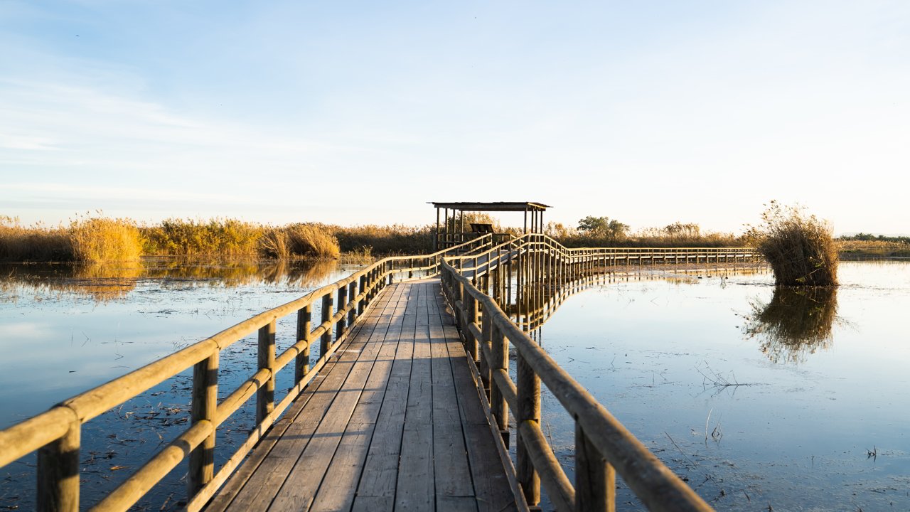 El Hondo Natural Park in Elche 