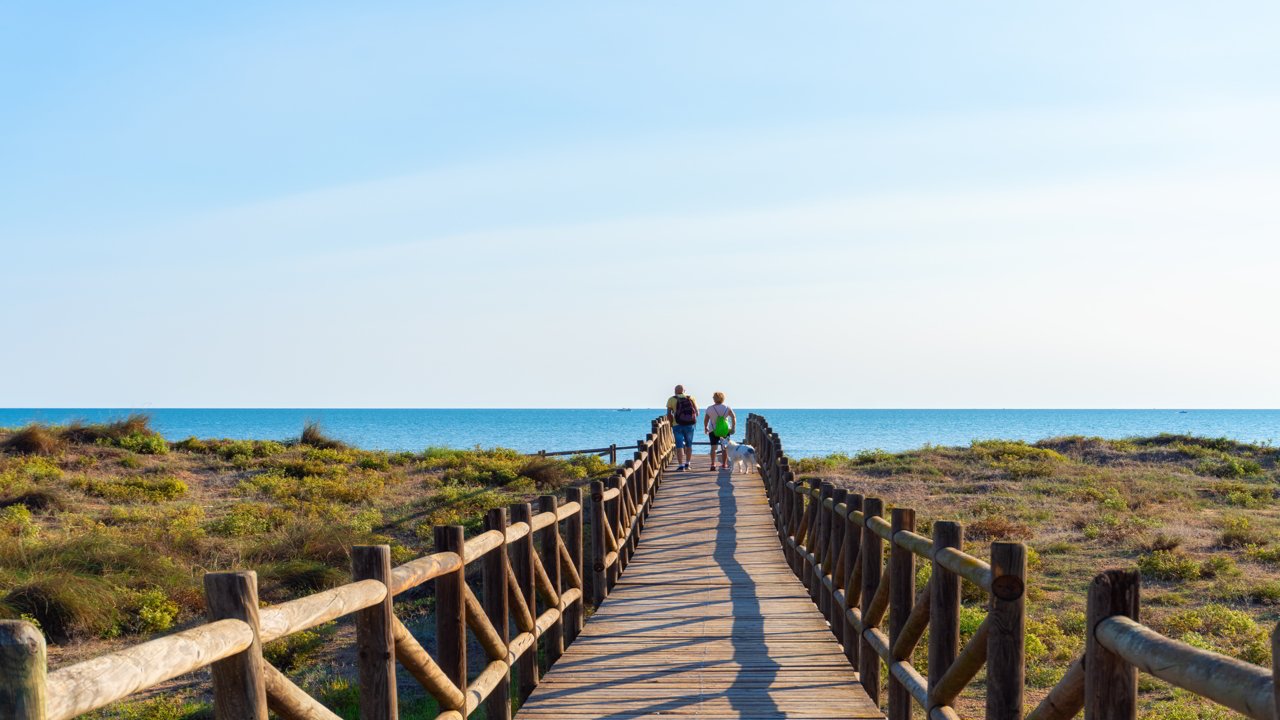 Wooden walkway to the beach