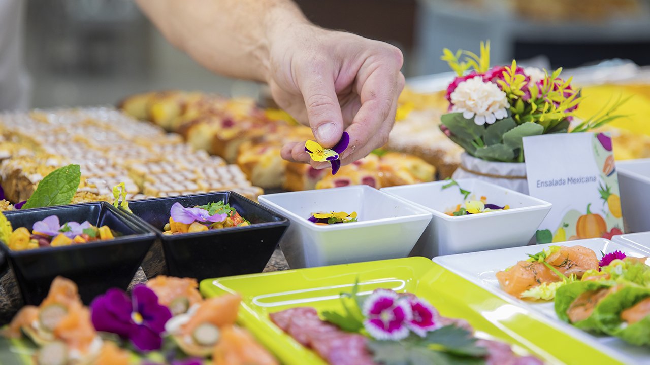 Servigroup Buffet Salads