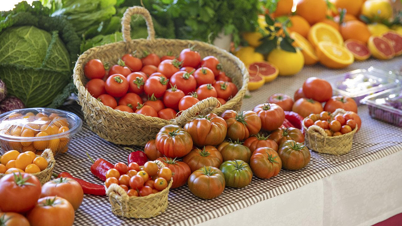 Tomatoes from the El Clot