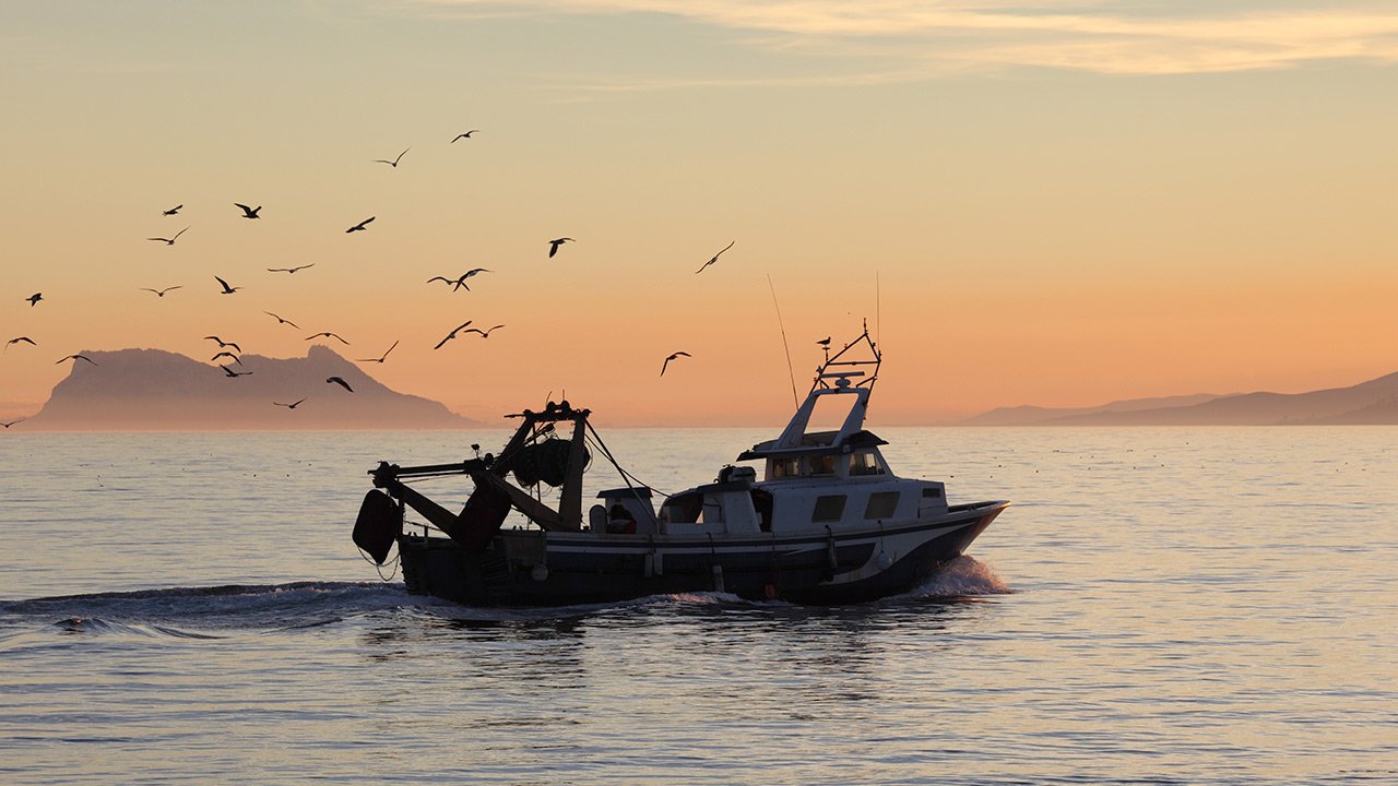 Bateau de pêche